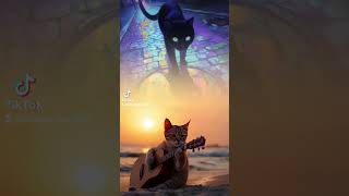 Cat Playing The Spanish Guitar Meow [upl. by Einnaoj]