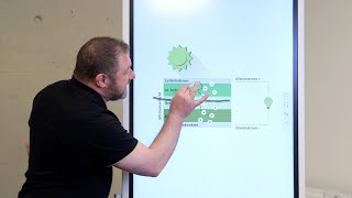 Wie funktioniert eine Solarzelle  CKWStromwissen [upl. by Elspeth]