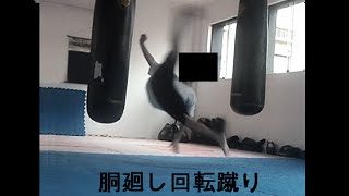 The Power of Do Mawashi Kaiten Geri Kyokushin Wheel Kick  胴廻し回転蹴り [upl. by Gary]