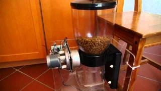 Automatic cat feeder with stepper motor and ATMega AVR [upl. by Duleba378]