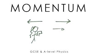 Momentum  GCSE amp Alevel Physics full version [upl. by Adlog]