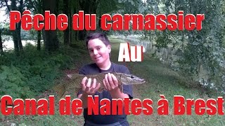 Pêche du carnassier au Canal  le retour de leau [upl. by Uile]