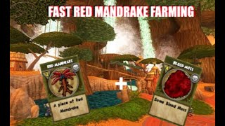 Red Mandrake Farming Guide SUPER FAST W101 [upl. by Erdah11]