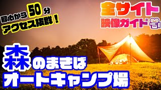 【千葉キャンプ場紹介】森のまきばオートキャンプ場を徹底解説（オススメ）都心から約50分！広大な自然に囲まれた好立地キャンプ場🎪 [upl. by Gary137]