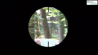 Sightron SIII 624x50 LR reticle Mil Dot subtensions [upl. by Lleuqar]