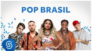 Pop Brasil  Os Melhores Clipes 2019 [upl. by Akila]