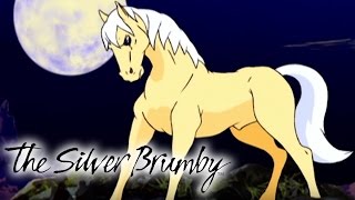 The Silver Brumby  Full Episodes 3639  2 HOUR COMPILATION  Silver Brumby Full Season [upl. by Nesto598]