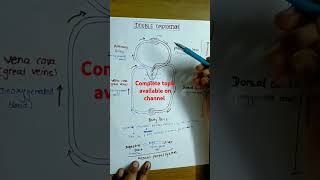 DOUBLE CIRCULATION CLASS11 class11biologyneetbiologycbseshortsytbodyfluidsampcirculationneet [upl. by Dnumde]