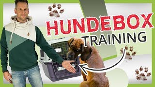 HUNDEBOXTraining Eingewöhnung Training und richtige Verwendung [upl. by Ruscio]