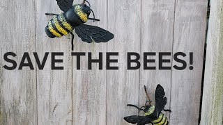 SAVE THE BEES [upl. by Malvie197]