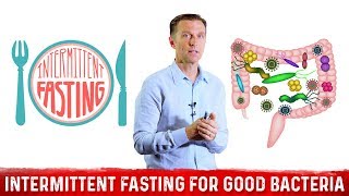 Supercharge Your Gut Bacteria with Intermittent Fasting – Dr Berg [upl. by Eila]