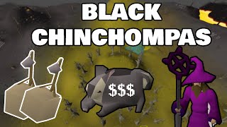 OSRS BLACK CHINCHOMPA Hunting guide 1m PER HOUR [upl. by Ayekal]