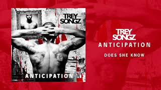 Trey Songz  Does She Know Official Audio [upl. by Sandi301]