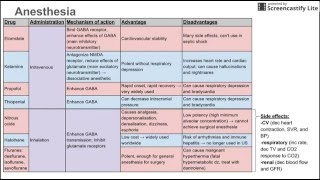 Anesthetics [upl. by Nennarb]