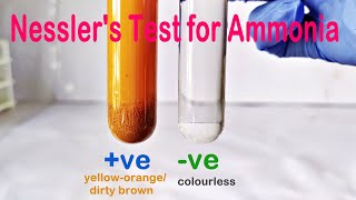 Nesslers Test Practical Experiment [upl. by Paola]