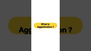 What is Agglutination [upl. by Ryan]