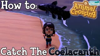 How to Catch the Coelacanth in Animal Crossing New Horizons [upl. by Ettennil]