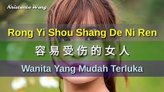 Rong Yi Shou Shang De Ni Ren  容易受傷的女人  雷婷 Lei Ting Wanita Yang Mudah Terluka [upl. by Alexandrina]