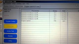 D4D injector trim data at idle [upl. by Satterfield]