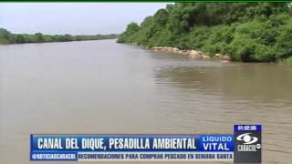 El Canal del Dique una pesadilla ambiental [upl. by Londoner]