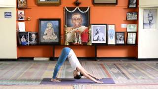 30 minutes practice of Ashtanga Yoga Mysore Style for beginners to intermediates [upl. by Erodasi]