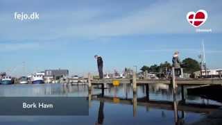 Urlaub am Ringkøbing Fjord in Bork Havn Dänemark [upl. by Novanod]