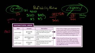 Profitability Ratios Margins  Financial Statement Analysis [upl. by Eelta]