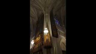 Christ the Lord has Risen Today  Duke Chapel  Aeolian Pipe Organ [upl. by Darsie]