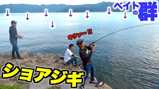 無数のベイトの群れの下に潜む怪魚を釣りまくった！！ [upl. by Omle613]