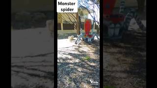 Monster spider location for google earth shortsvideossubscribe [upl. by Papst]