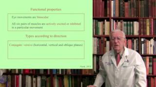 Lecture 6 The Oculomotor System III Structure Function and Dysfunction [upl. by Sydelle502]