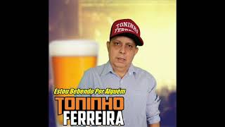 TONINHO FERREIRA  VOLTANDO AO PASSADO  CD COMPLETO [upl. by Pepper]