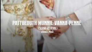 PATTUEDUTH MUNNIL VANNA PENNE SLOWREVERB slowed mappilappattu viral love trending [upl. by Ahsyt273]