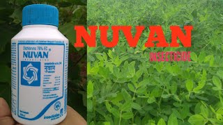 NUVAN INSECTICIDE DICHLORVOS 76 EC [upl. by Enilraep982]