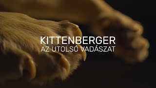 Kittenberger  Az utolsó vadászat  TELJES FILM [upl. by Shaefer]