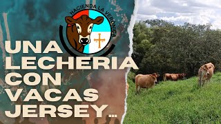 UNA LECHERIA CON VACAS JERSEY [upl. by Alenoel]