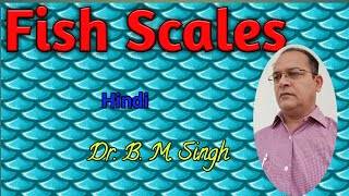 Fish scales Hindi [upl. by Therron450]