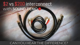 Cheap vs Expensive Interconnect Cable with SOUND DEMO [upl. by Nylsej150]