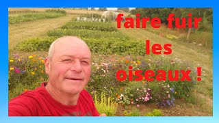 comment faire un effaroucheur contre les oiseaux [upl. by Aicenat446]