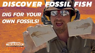 Discover amp Find Fossil Fish at Fossil Lake Safari in Kemmerer WY [upl. by Neelehtak]