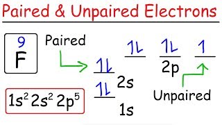 How To Determine The Number of Paired and Unpaired Electrons [upl. by Ardnaed406]