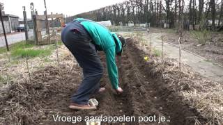 Toms Moestuin 2016  21  Vroege aardappelen planten  poten [upl. by Lowney]