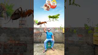 Flying ant grasshopper fish lizard bee vs kinder Joy amp diary milk  Funny vfx magic 😄 shorts [upl. by Ecnerrat726]