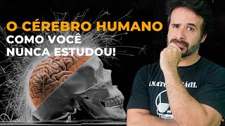 O CÉREBRO HUMANO COMO VOCÊ NUNCA ESTUDOU [upl. by Aulea]