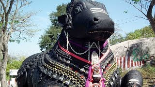 Sani Maha Pradosham Mantras – Nandikeshwara Pooja amp 108 Names of Nandi – Must Listen [upl. by Abert]