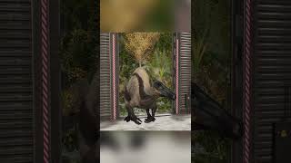 Carnotaurus VS Deinocheirus jurassicworldevolution2 dinosaur jurassicworld jurassicpark [upl. by Edylc551]