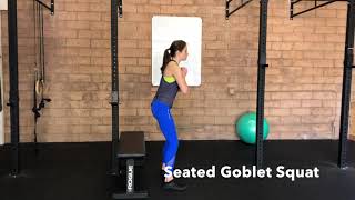 Weighted Goblet Squats from a Chair [upl. by Waddle]