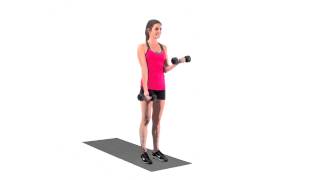 Alternating Dumbbell Curl [upl. by Gilead]