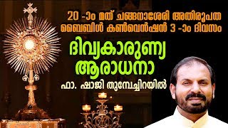 20th Changanacherry Archdiocese Bible Convention  LIVE Day 3 from Parel Church [upl. by Laeynad]