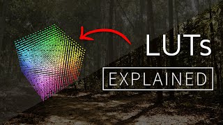 LUTs Explained 1D vs 3D LUT [upl. by Kress]